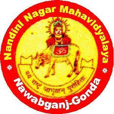 Nandini Nagar Mahavidyalaya - [NNMV]-logo